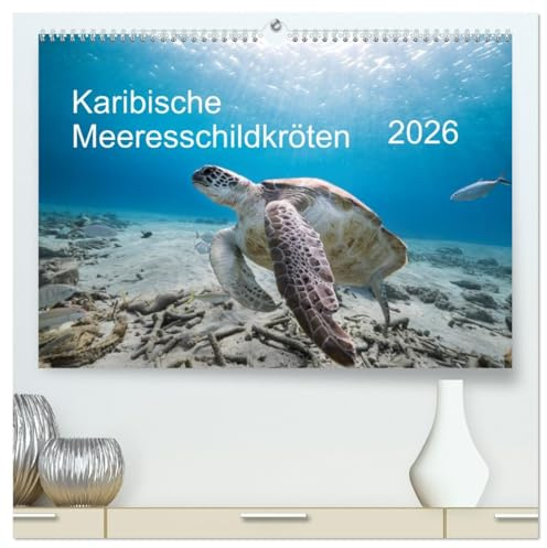 Karibische Meeresschildkröten (hochwertiger Premium Wandkalender 2026 DIN A2 quer), Kunstdruck in Hochglanz: Magische Begegnungen unter Wasser! (CALVENDO Tiere)