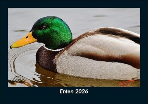 Enten 2026 Fotokalender DIN A5: Monatskalender mit Bild-Motiven von Haustieren, Bauernhof, wilden Tieren und Raubtieren