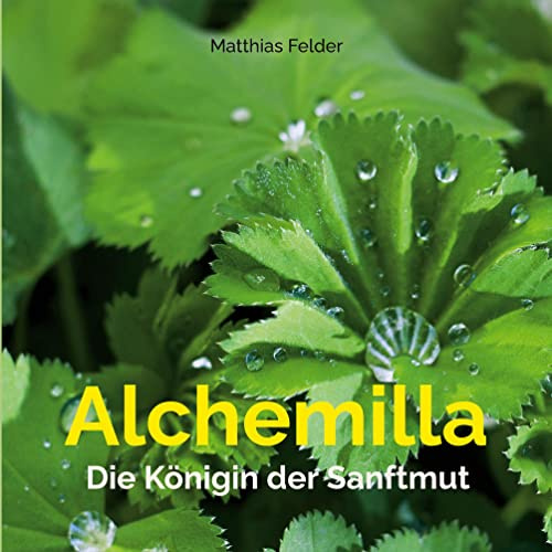 Alchemilla: Die Königin der Sanftmut