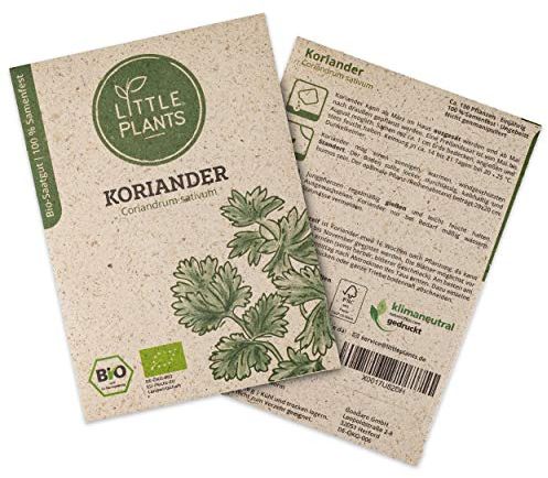 Little Plants BIO Koriander Samen, 130 Koriandersamen, hohe Keimrate, 100% Natürlich, BIO Samen Koriander für Kräutergarten Küchenkräuter Hochbeet – BIO Kräutersamen Nachhaltig
