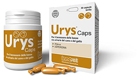 Innovet URYS® Caps - Für das Wohlbefinden der unteren Harnwege bei Hund und Katze - 30 Kapseln