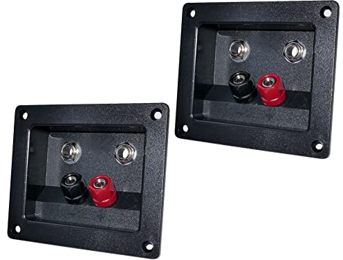 AERZETIX - C53553 - Lot de 2 Borniers/prises 2 bananes x 2 jacks 6.3mm terminal encastrable réctangulaire connexion haut-parleur enceintes - 2 voies - à visser