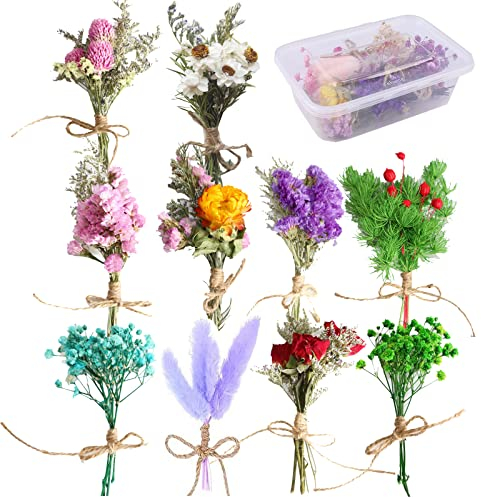 YouYuer 10 Bündel Mini Natürliche Getrocknete Blumen Getrocknete Blüten Gemischte Klein Blumenstrauß Bündel Getrocknete Blumenstrauss Bunt Blumenstrauß Trockenblumen für DIY Handwerk Homedeko