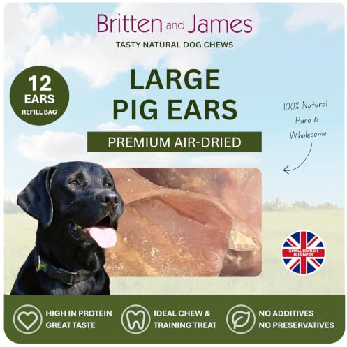 12 Large Pigs Ears for Dogs (Refill Bag) by Britten and James | Natural Premium Quality British Product by Britten and James