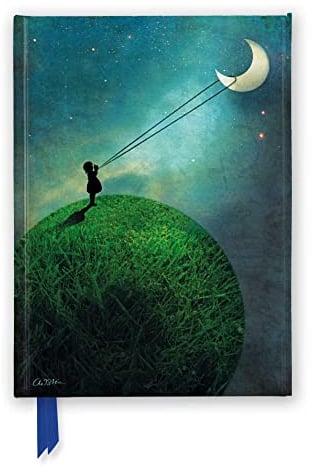 Catrin Welz-Stein: Chasing the Moon (Foiled Journal) (Flame Tree Notebooks)