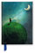 Catrin Welz-Stein: Chasing the Moon (Foiled Journal) (Flame Tree Notebooks)