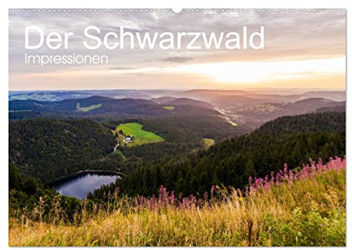 Der Schwarzwald Impressionen (Wandkalender 2026 DIN A2 quer), CALVENDO Monatskalender: Der Schwarzwald in faszinierenden Aufnahmen. (CALVENDO Orte)