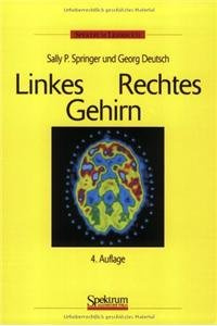 Linkes / Rechtes Gehirn
