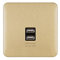 Schneider Electric Lisse GGBL70042BSBS - Placa de pared con 2 puertos de carga USB, latón satinado con inserto negro