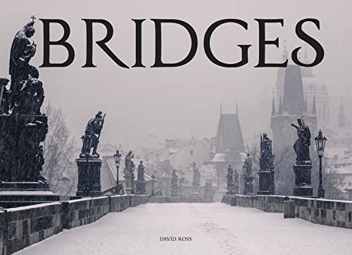 Bridges (Amazing Places [Landscape format])