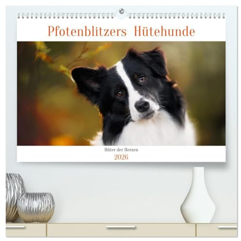 Hütehunde - Hüter der Herzen (hochwertiger Premium Wandkalender 2026 DIN A2 quer), Kunstdruck in Hochglanz: Ein Jahr mit wunderschönen Hütehunde-Rassen (CALVENDO Tiere)