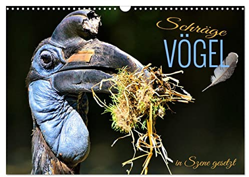 Schräge Vögel in Szene gesetzt (Wandkalender 2026 DIN A3 quer), CALVENDO Monatskalender: Faszinierende Bilder skurriler und exotischer Vogelarten rund um den Globus (CALVENDO Tiere)