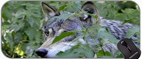 YENDOSTEEN Tapis de souris de jeu XXL - Grand tapis de bureau - Predator Wolf Snow