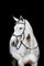 Horseware HW Micklem2 Multi Bridle, x-vollblut, schwarz