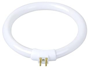 T4 Annular Fluorescent Ring Lamp 11W 110V 220V G10q Base for Magnifying Glass Desk Lamps White Lighting