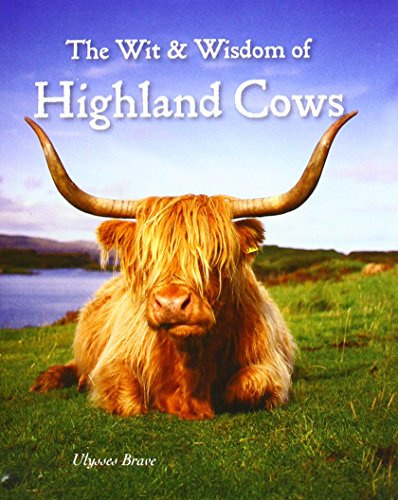 Wit & Wisdom Of Highland Cows