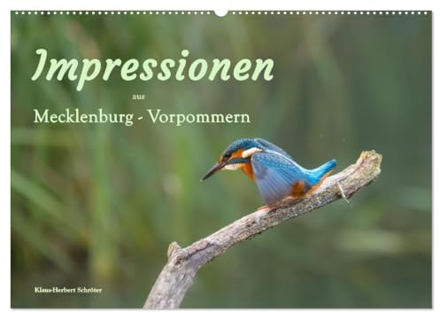 Impressionen aus Mecklenburg - Vorpommern (Wandkalender 2026 DIN A2 quer), CALVENDO Monatskalender: Eine Bildreise durch die Jahreszeiten in Mecklenburg-Vorpommern (CALVENDO Natur)