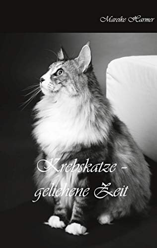 Krebskatze: geliehene Zeit