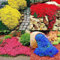 Semillas de berros, 200 Unids/bolsa Semillas Semillas de flores de berros decorativas de rápido crecimiento Semillas de flores de árboles frutales Vegetales Semillas de hierba Semilla