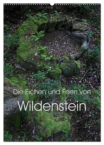Die Eichen und Feen von Wildenstein (Wandkalender 2025 DIN A2 hoch), CALVENDO Monatskalender: Ein Eichenwitwald im Lauf der Jahreszeiten und seine seltsamen Feen (CALVENDO Erotik)