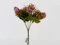 Mini Artificial Rose Bud Flower Bush & Mixed Foliage - Choice of Colour (Lavender)