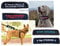Personalised Dog Collar/Dog Harness ID Cover. Padded ID Collar Cover. For dog collar, dog harness or dog lead. (Medium/Large: 25cm Width)