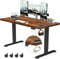 TRIUMPHKEY Height Adjustable Desk, 160 x 80 cm, USB Socket, 3 Memory Controls, Electric Desk, Height Adjustable, Anti-Collision, Computer Table
