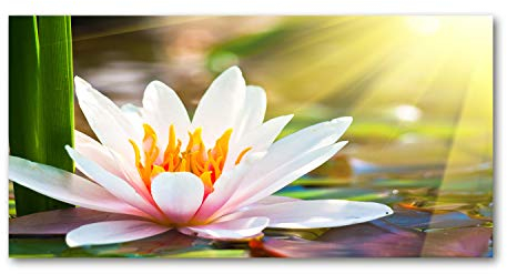 Tulup Glas-Bild Wandbild aus Glas - Wandkunst - Wandbild hinter gehärtetem Sicherheitsglas - Dekorative Wand für Küche & Wohnzimmer 140x70 - Blumen & Pflanzen - Seerose - Mehrfarbig