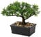 Kunstbonsai Naturgetreue Künstliche Pflanze Kunstbaum Bonsai Zeder Kiefer Podocarpus Plastik Pflanze Kunstpflanze mit Keramik-Übertopf in Schwarz für Baddeko Desktop Büro Fensterbank