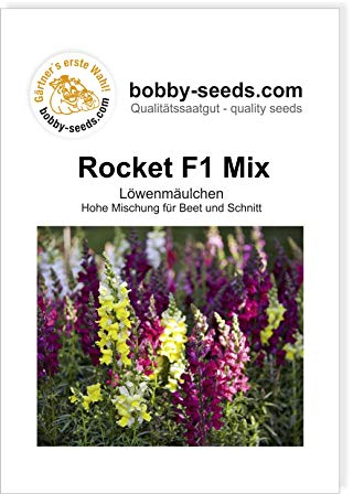 Blumensamen Rocket F1 Löwenmäulchen Portion