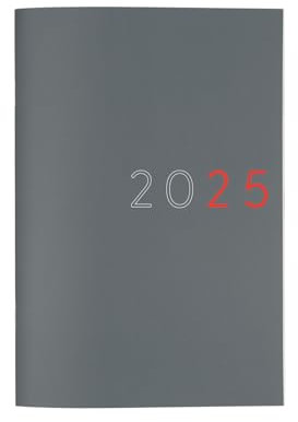 finocam - Terminplaner Monatsansicht 2025 Januar 2025 bis Dezember 2025 (12 Monate) Grau International
