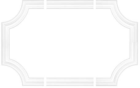 2 Meter | Flachleiste | PU | stoßfest | Hexim Perfect | 40x16mm | AD325_2