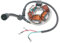 2EXTREME Lichtmaschine/Stator kompatibel mit Piaggio Ape Mix, TL5T, Classic, kompatibel mit Vespa