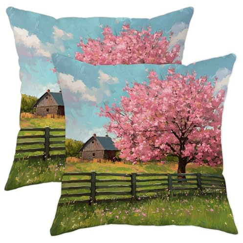 Set di 2 federe per cuscini con fiori di pesca, decorative, quadrate, per casa, divano, letto, divano, 50 x 50 cm