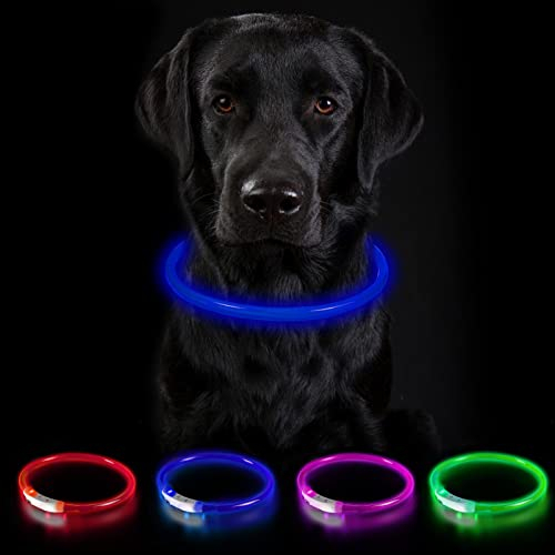 Nepfaivy Leuchthalsband für Hund USB Aufladbar - Leuchtendes Hundehalsband Wasserdicht mit 3 Beleuchtungsmodi, Längenverstellbareres LED Halsband für Große und Mittlere Hunde(Blau-B)