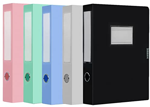 5 Stück A4 Aktenboxen Ringzug Premium Sammelbox mit Rückenschild Aufbewahrungsbox mit 55mm Breit Rücken Archivbox farbig sortiert Dokumentenbox aus Kunststoff für Büro, Schule oder Archivraum