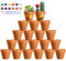 Celepoir 20 Pièce Pot Terre Cuite pour Succulent, Petit Pot de Fleur Terre Cuite avec Peintures & Pinceaux, Pots en Terrecuite avec Trou de Vidange, 5,5x5cm Pots en Terrecuite, pour Succulent, Cactus