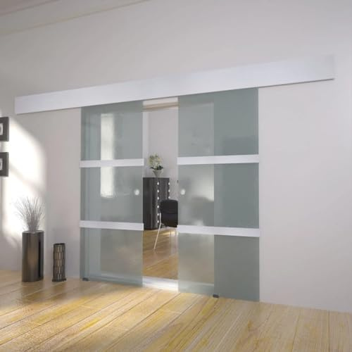 RAUGAJ Cristal para puerta corredera doble. Dimensiones (cada puerta): 205 x 75 cm (largo x ancho)
