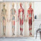 ABAKUHAUS Jahrgang Duschvorhang, Anatomie Menschlicher Körper, Stoffliches Gewebe Badezimmerdekorationsset mit Haken, 175 x 220 cm, Creme Rubin
