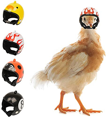 Huhn Helm Hühnerhelm Lustige Huhn Sturzhelm Haustier Hühnerhelm, Kleine Pet Safety Helme Um Den Kopf Von Hühnern Und Enten Zu Schützen, Haustierhelm Für Hühner, Enten Und Anderes Geflügel (4PCS)