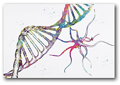 Krankenhaus-Poster, bunte Kunst, DNA, Gesundheit, Leinwand, Poster, Wandkunst, dekoratives Bild, Drucke, moderne Dekoration, 20 x 30 cm