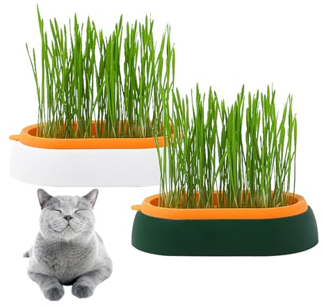 Lvjkes Keimglas für Sprossen, 2 Pcs Zellen Sämling Plug Trays, Wiederverwendbare Seed Starter Container für Baumschule Wachsen Pflanzen Vermehrung Keimung, Samen Kunststoffschalen, 18 x 8 x 4,4 cm