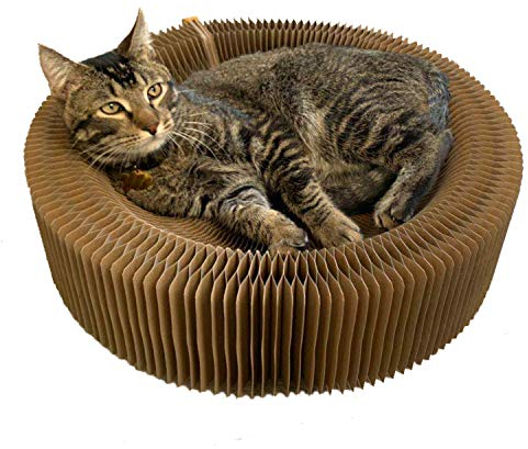 BobbyPet Cat Scratcher Lounge Bed - Collapsible Round Shape for Big cat