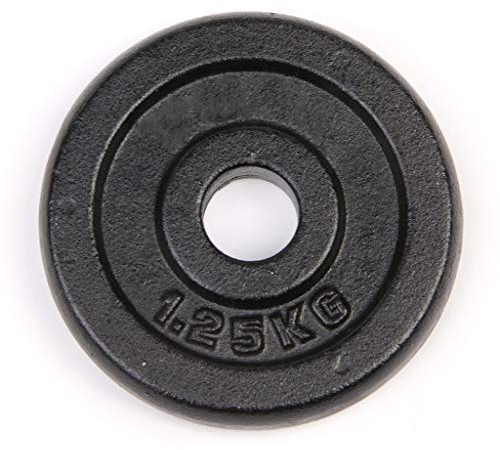 Barbell Standard 1-Inch Grip Weight Plates, Single, Black Pure Iron Counterweight Dumbbell 1.25kg, 2.5kg, 15kg Home Fitness (Size : 2.5kg)