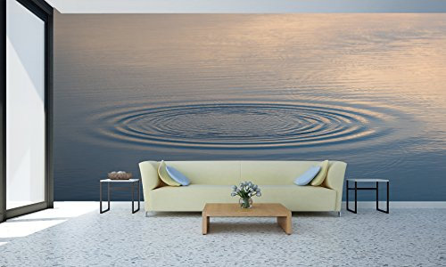 Fotomural Vinilo Pared Zen Ondas en el Agua | Sin Relieve Fotomural pared | Fotomural Decorativo | Vinilo Decorativo | 400x300cm | Para la decoración de comedores, salones |
