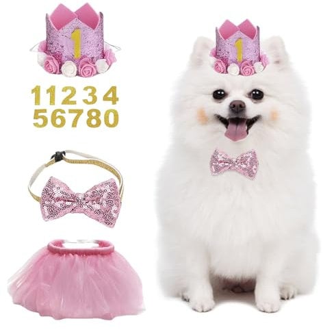 Haustier Katze Hund Geburtstag Set, Hund Geburtstag Hut, Haustier Geburtstag Hut Kit mit 1 Kronen Hut, 1 Fliege, 1 Rock, 10 Glitzerzahlen, Hunde Hut Party Dekoration, Happy Birthday Hut Hund (Rosa)