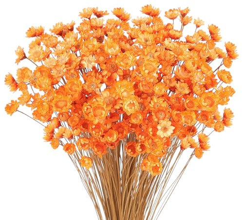 300 Pezzi Steli di Fiori Secchi Fiore Secco Margherita Fiore Essiccato Brasiliano Arancione Mini Fiori Secchi Bouquet Di Fiori Secchi Naturali Decorare Oggetti Di Scena Decorazione Di Fiori Secchi