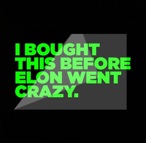 Sons of Battery - I BOUGHT THIS BEFORE ELON WENT CRAZY ca. 11 x 5,5 cm - 13 Farben - Bekannt auf den Medien Original Anti Elon Auto Aufkleber Vinyl Sticker (Neongrün)
