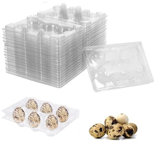 QIUMING® Wachtelei Karton Wachteleierschachteln Mit Deckel Wachtelei aus Kunststoff Kunststoff Eierkarton Transparente für Kleine Eier Wachtelfasan Für den Kühlschrank (transparent, 6 Gitter)