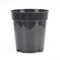 Set di 10 vasi in plastica trasparente per piante grasse ed erbe aromatiche (7,6 cm)